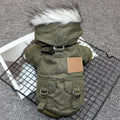 Padded Coat for Small Dogs - Comfortable Dog Apparel