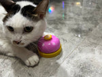Pet Footprint Ringer Training Bells for Cats and Dogs
