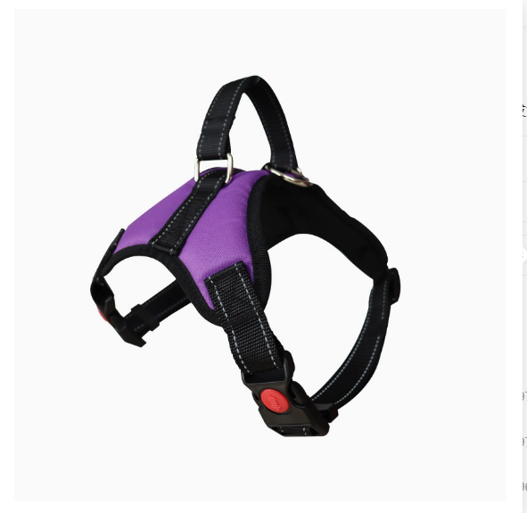 Durable Oxford Cloth Pet Leash and Vest Combo