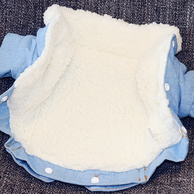 Premiun Thick Warm Dog Cotton Jacket, Denim Pet Clothes