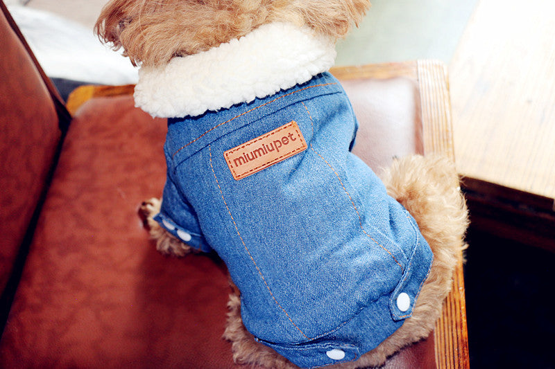 Premiun Thick Warm Dog Cotton Jacket, Denim Pet Clothes