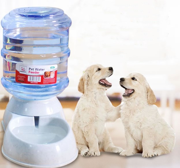 Automatic Pet Feeder and Water Dispenser for Cats