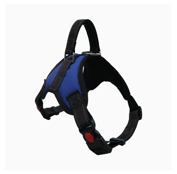 Durable Oxford Cloth Pet Leash and Vest Combo