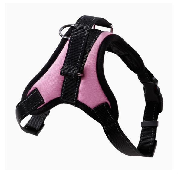 Durable Oxford Cloth Pet Leash and Vest Combo