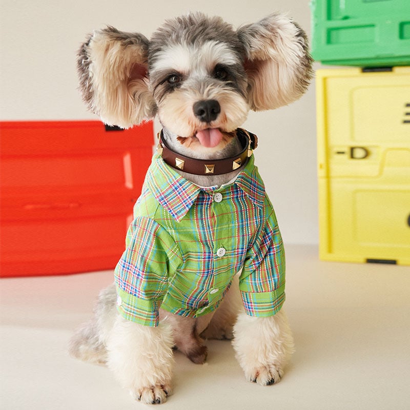 Pet Clothing for Small & Medium Dogs and Cats