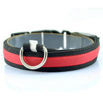 LED Dog Collar with Light Strip for Illumination