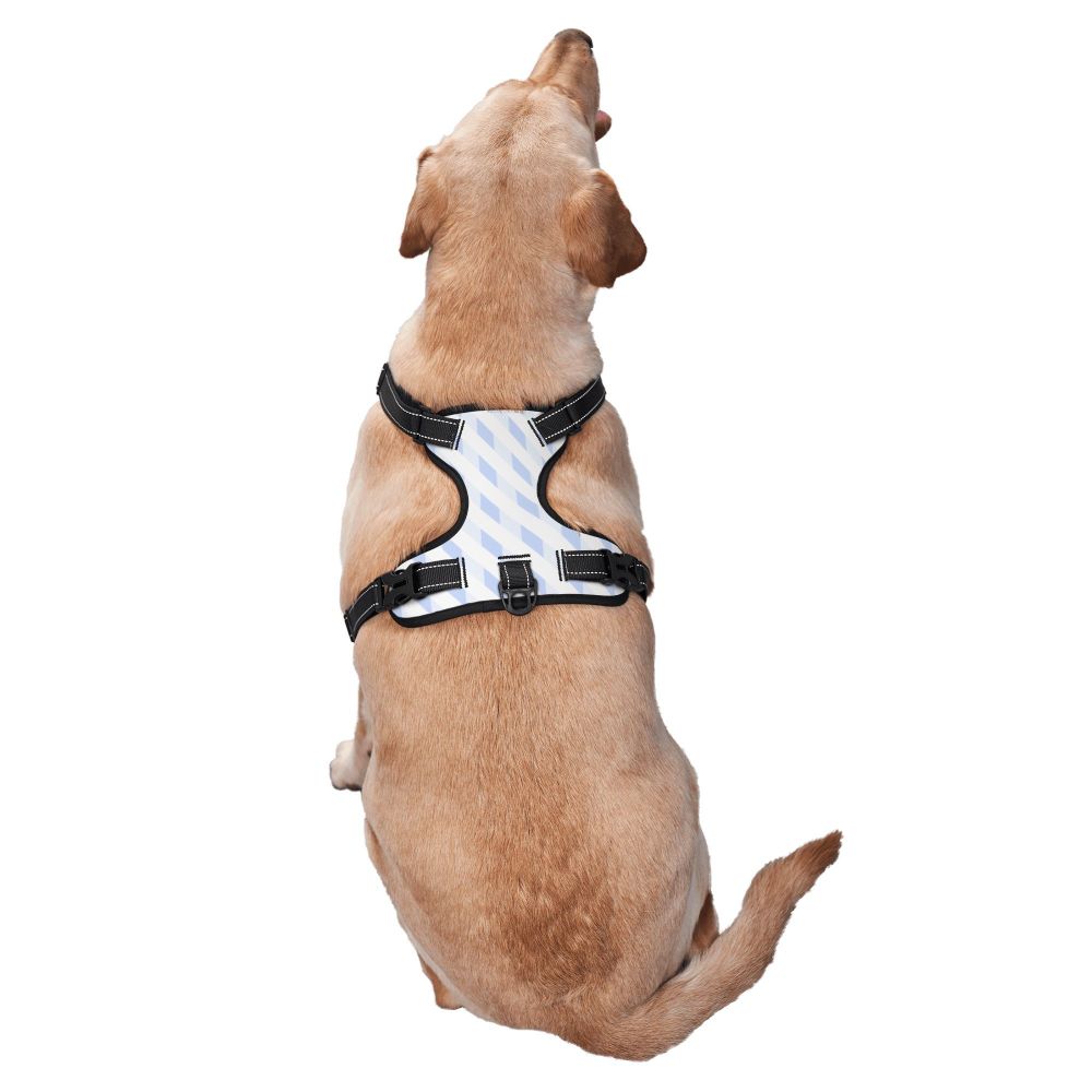 Durable Oxford Cloth Pet Leash and Vest Combo